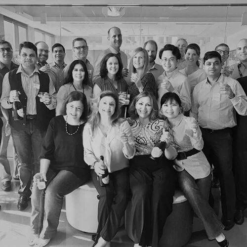 Website launch celebration