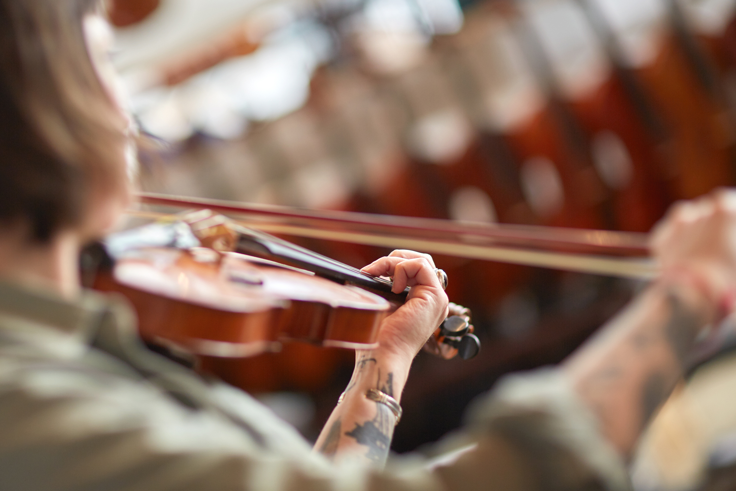 ME_violin.jpg