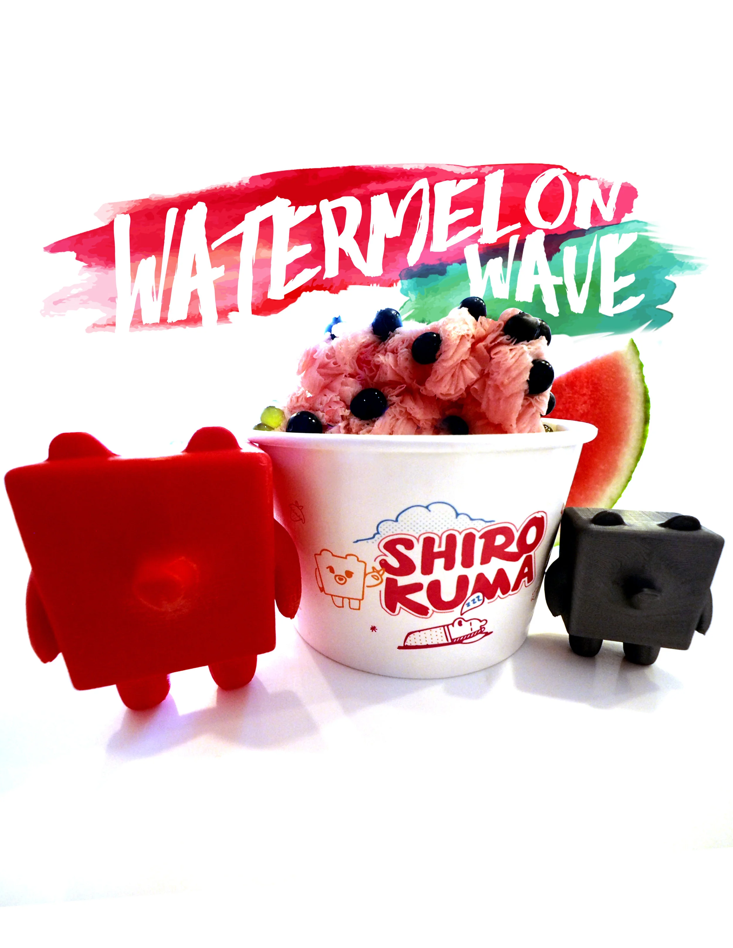 watermelon Wave_Promo.jpg
