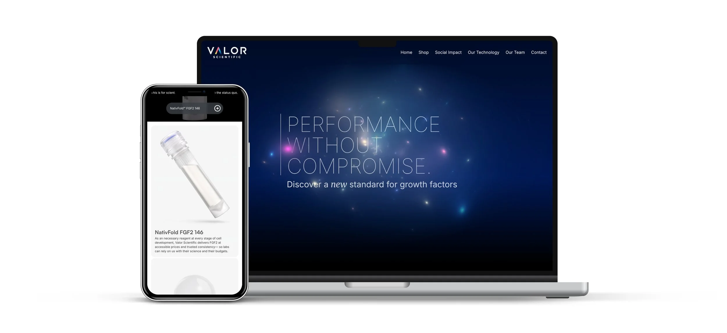VLS Landing Page.jpg