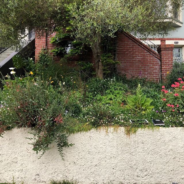 NEED A GARAGE? 
We love happy clients and who doesn&rsquo;t love designated parking and additional storage in San Francisco. 
Check out before and after shots of this hidden gem. 
Our clients asked us to give them a garage they could use and we said 