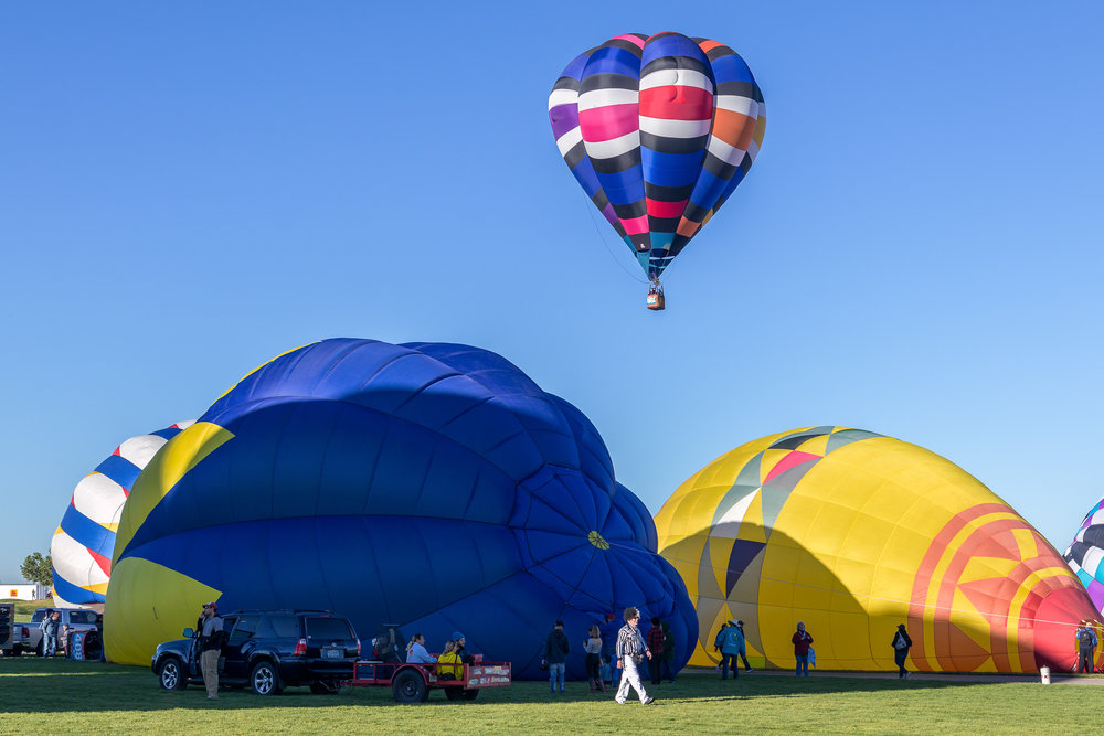 3-balloons-zebra.jpg