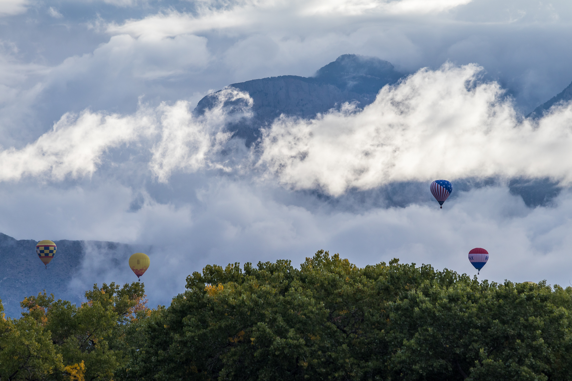 alameda-4-balloons.jpg