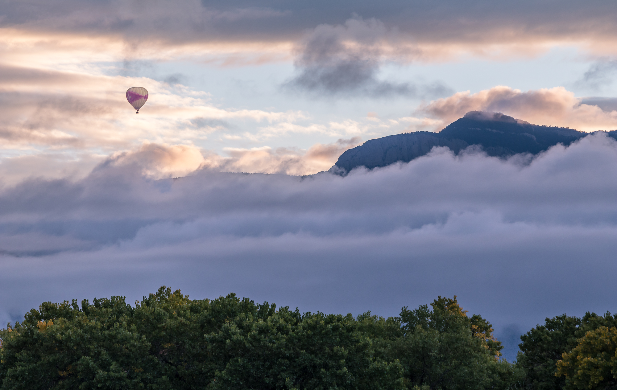 alemeda-one-balloon.jpg