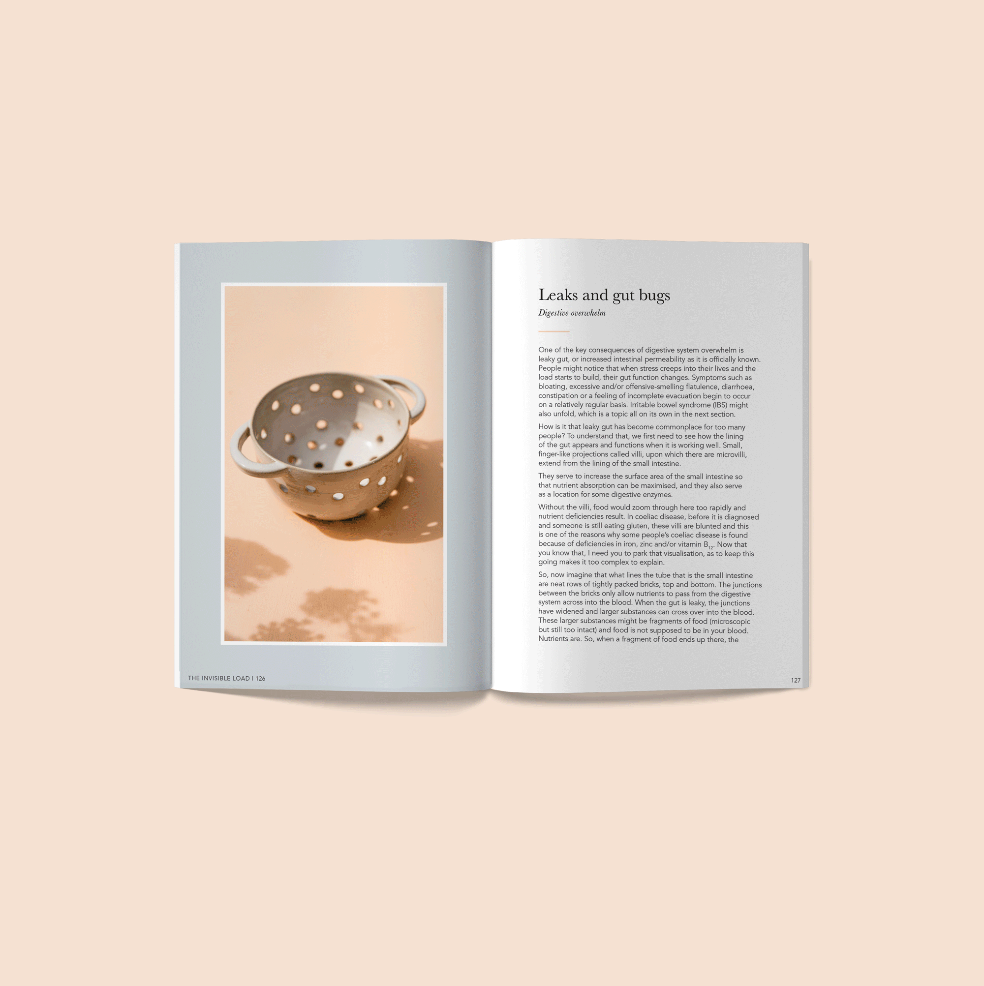 St.Clement.Creative.Book.Design.Brisbane.Graphic.Studio16.gif