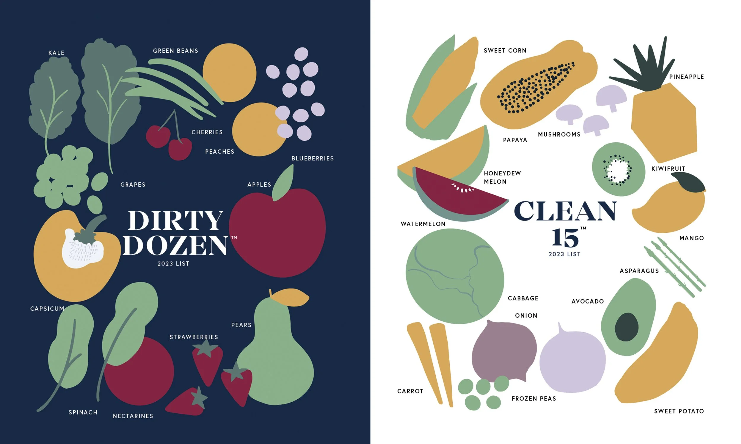 Infographic comparing two lists of fruits and vegetables. The left side, titled 'Dirty Dozen,' features kale, green beans, cherries, peaches, blueberries, grapes, apples, strawberries, spinach, nectarines, pears, and capiscum. The right side, titled 