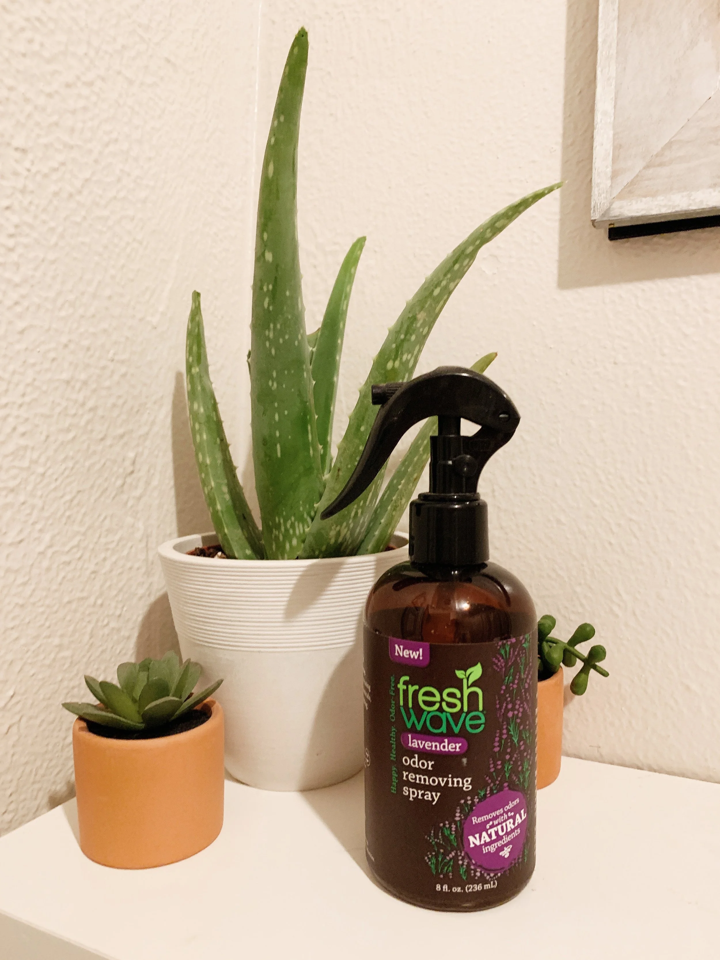 Replacing Toxic "Fragrance" with Non-Toxic Alternatives