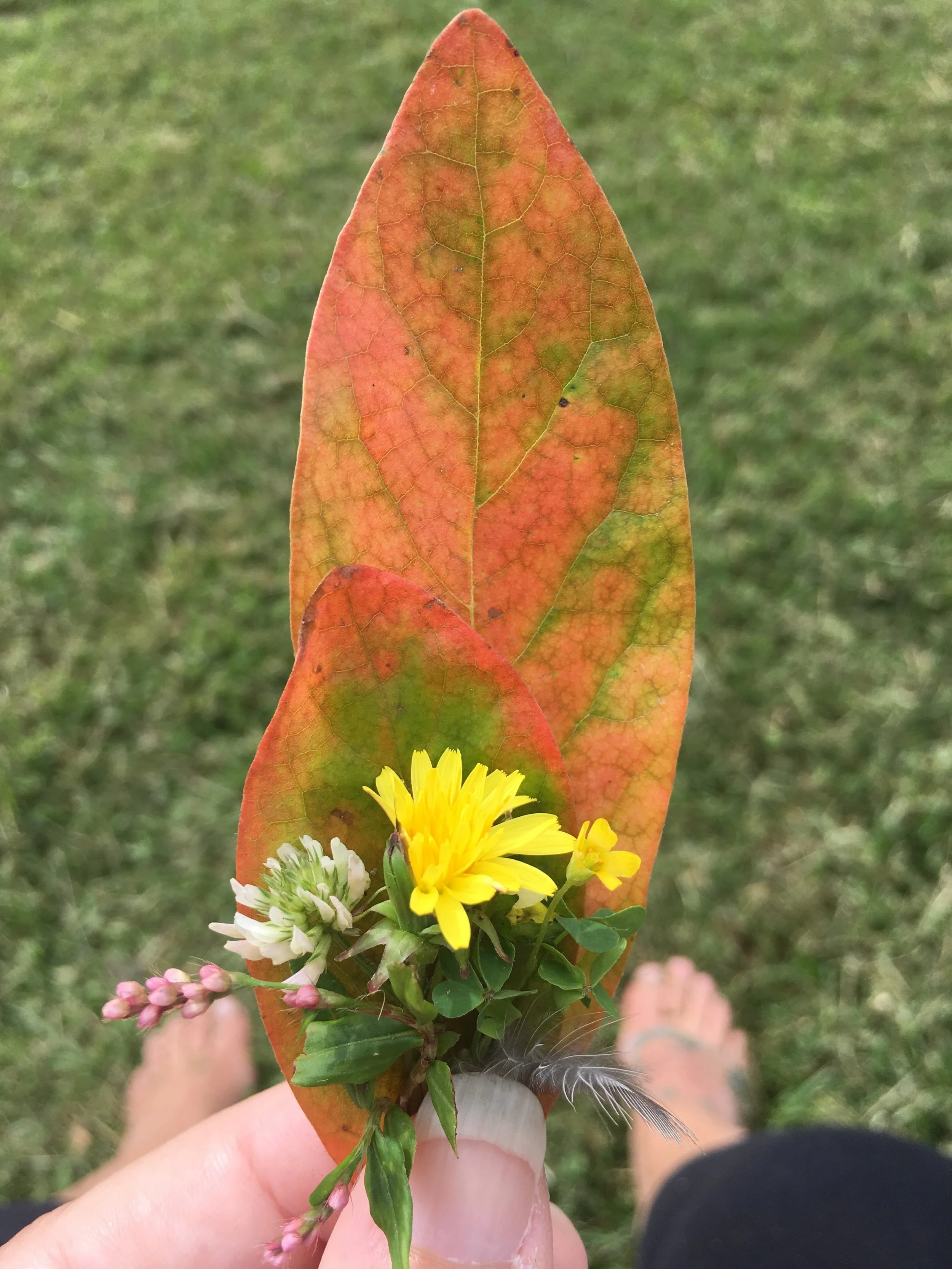 2018-08-24 11.07.28.jpg