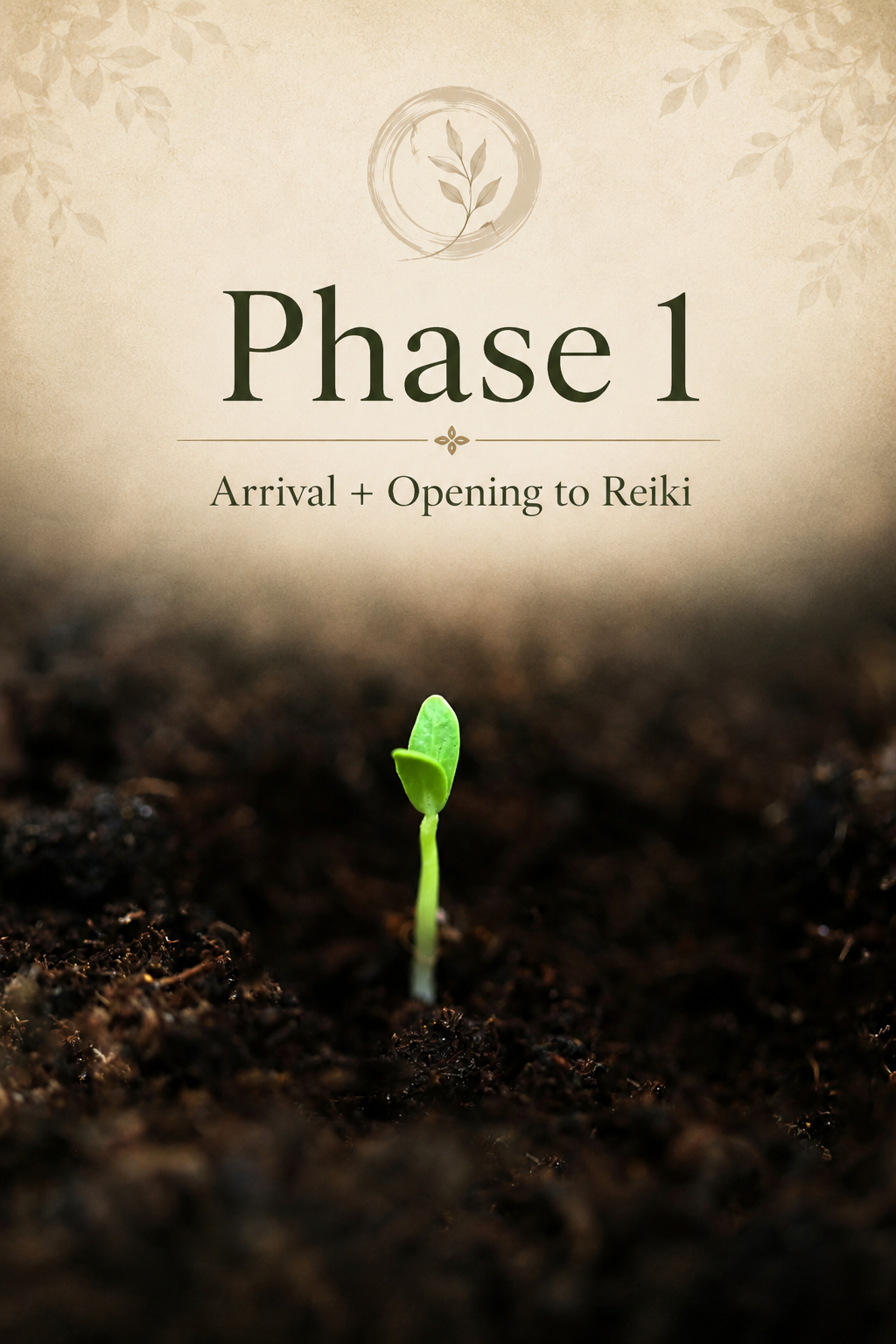 Phase 1: Arrival + Opening to Reiki