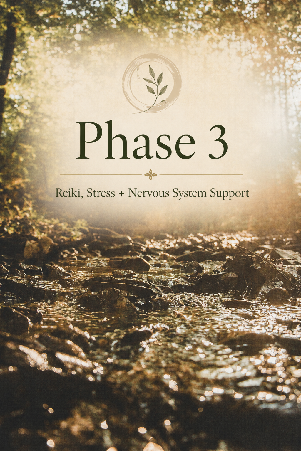 Phase 3: Reiki, Stress + Nervous System Support