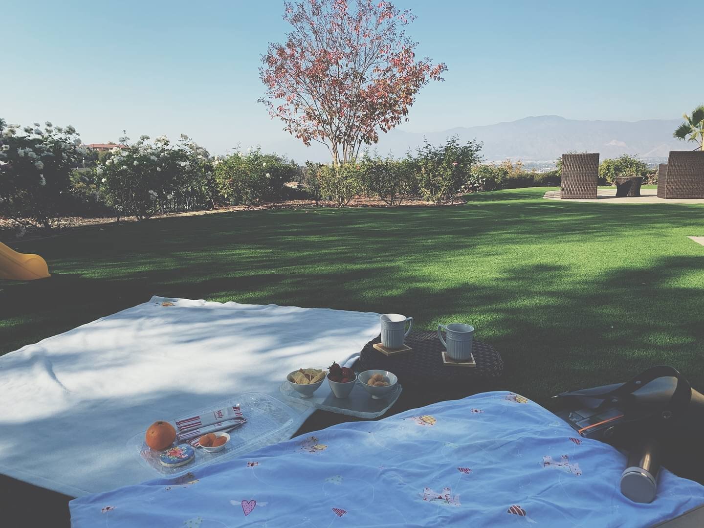 Deep in revisions/deadlines and missing these peaceful picnics and sunny skies. I don&rsquo;t think I&rsquo;ve ever done as many picnics as I have in this pandemic.

Habits that I want to keep post pandemic: picnics, waking up early, talking to my do