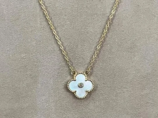 022B48C5-E2FD-495D-BE9B-7E5C70BCF4F6