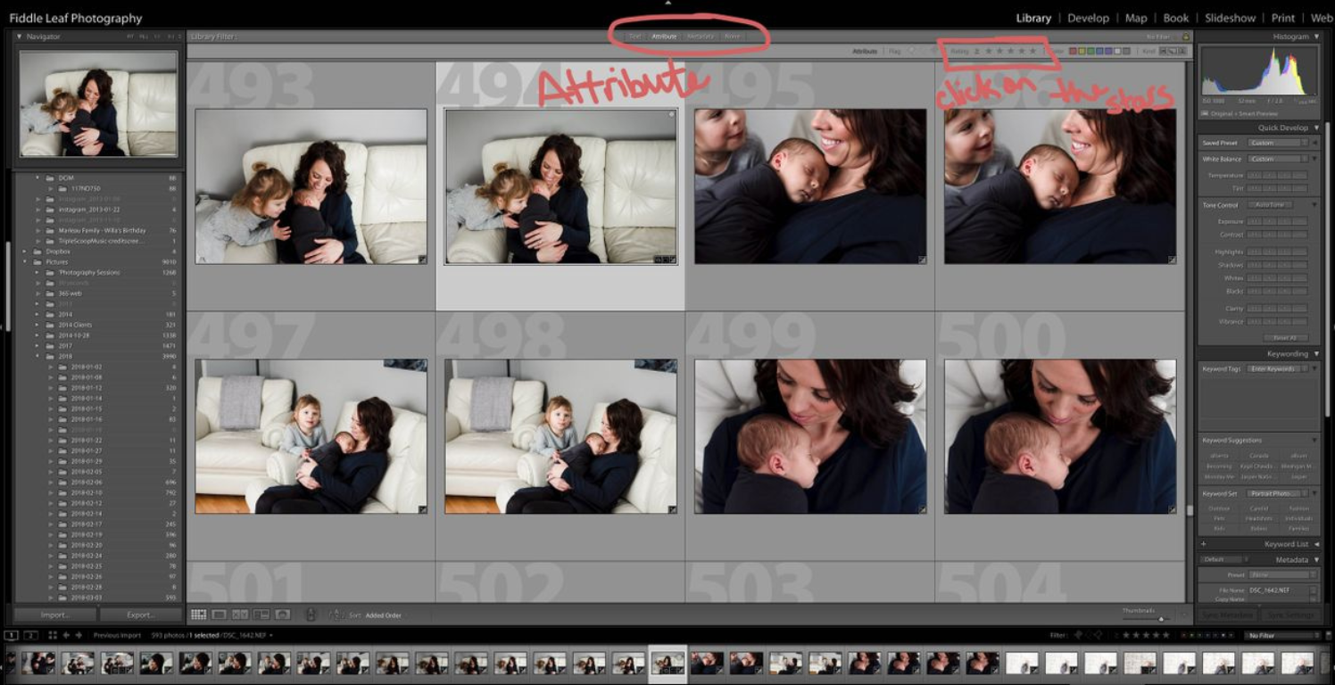 lightroom culling images.png