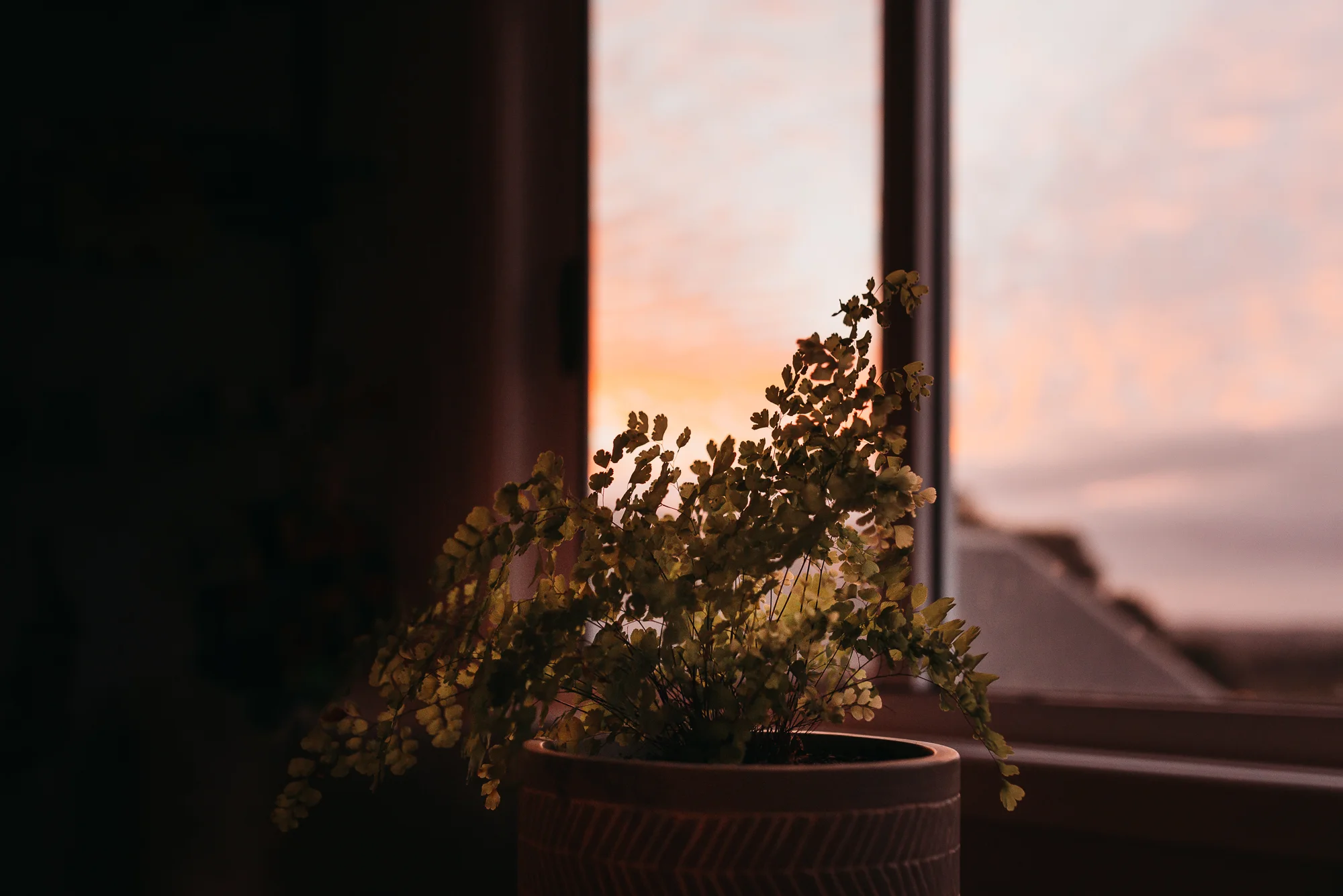 still_life_photography_exercise-1.jpg
