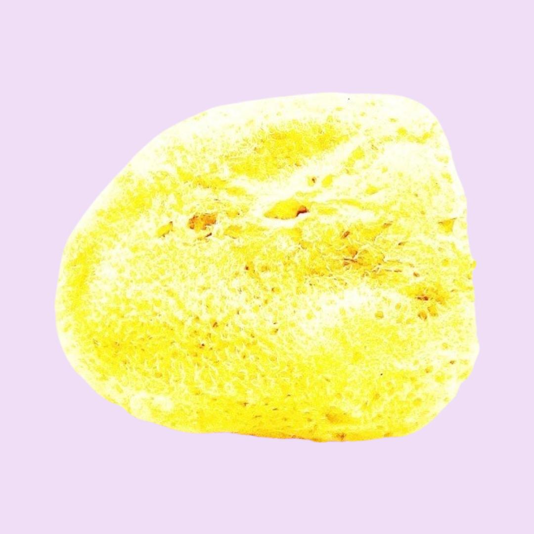 Mediterranean Sea Silk Facial Sponge