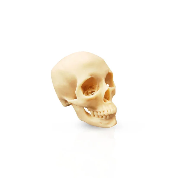 3D Consumable Hard Resin OMR-05.jpg