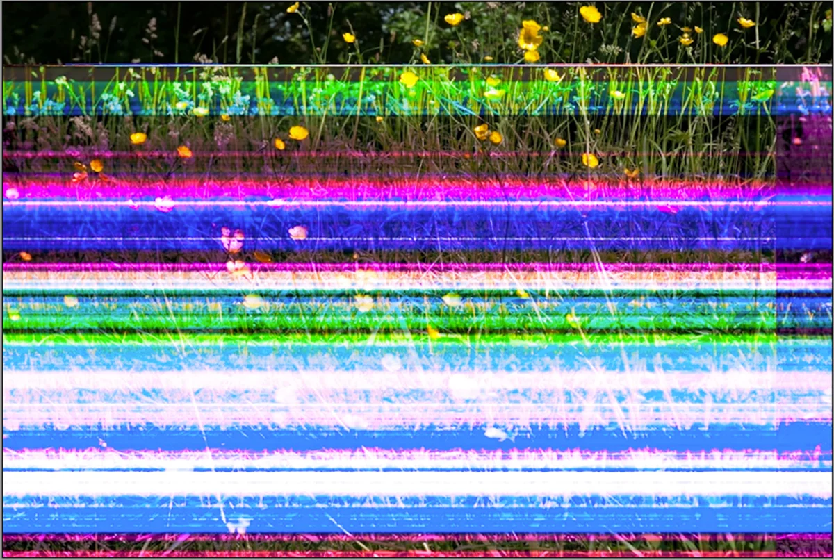 flowers.jpg