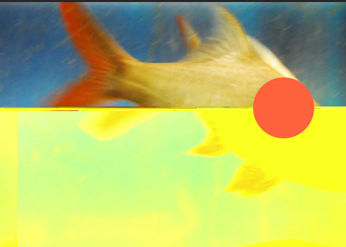 GBlanco_AnImage1.jpg