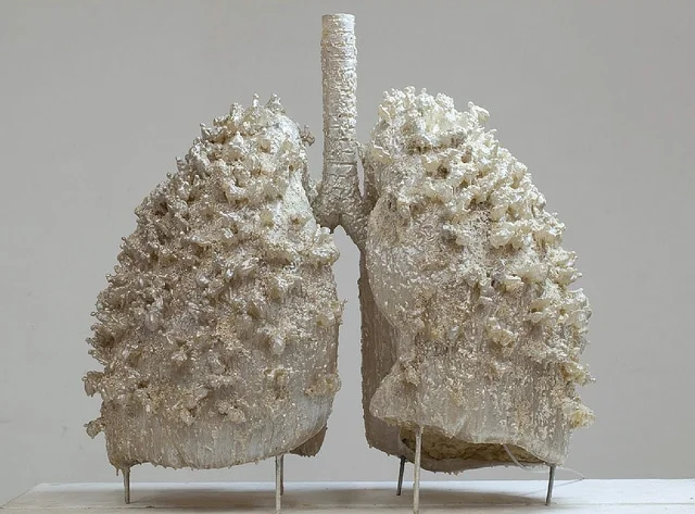 lungs.jpg