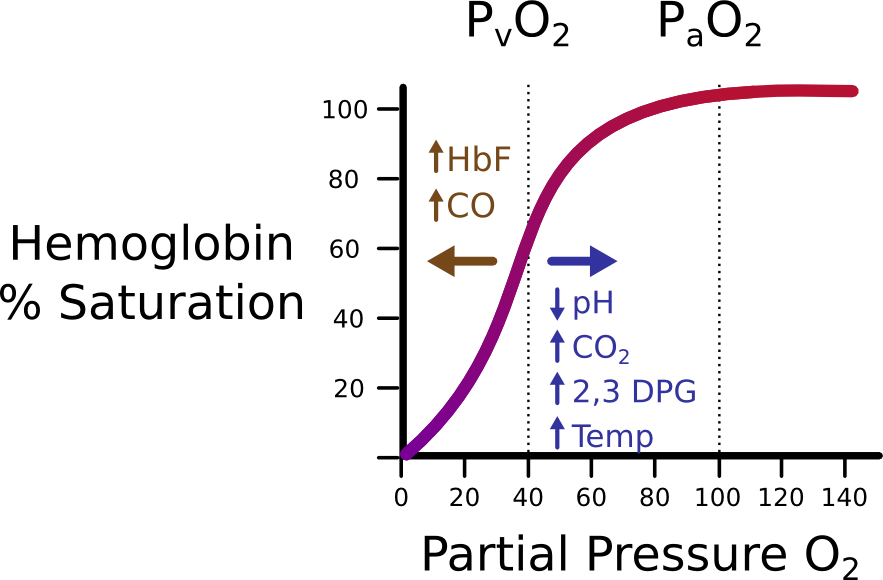 Oxygen-Hemoglobin Dissociation Curve-Figure-3.png