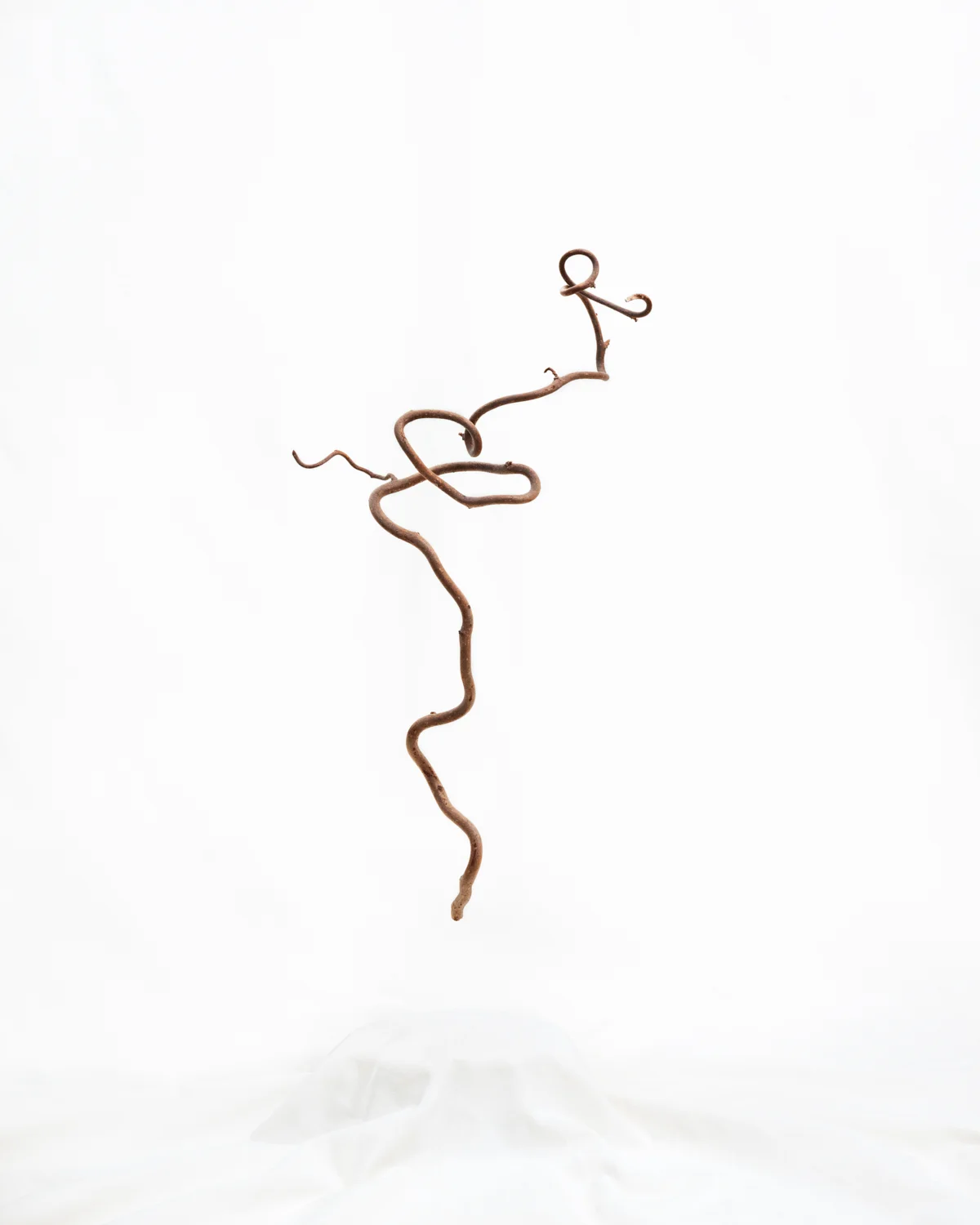 JoyStick, 2017