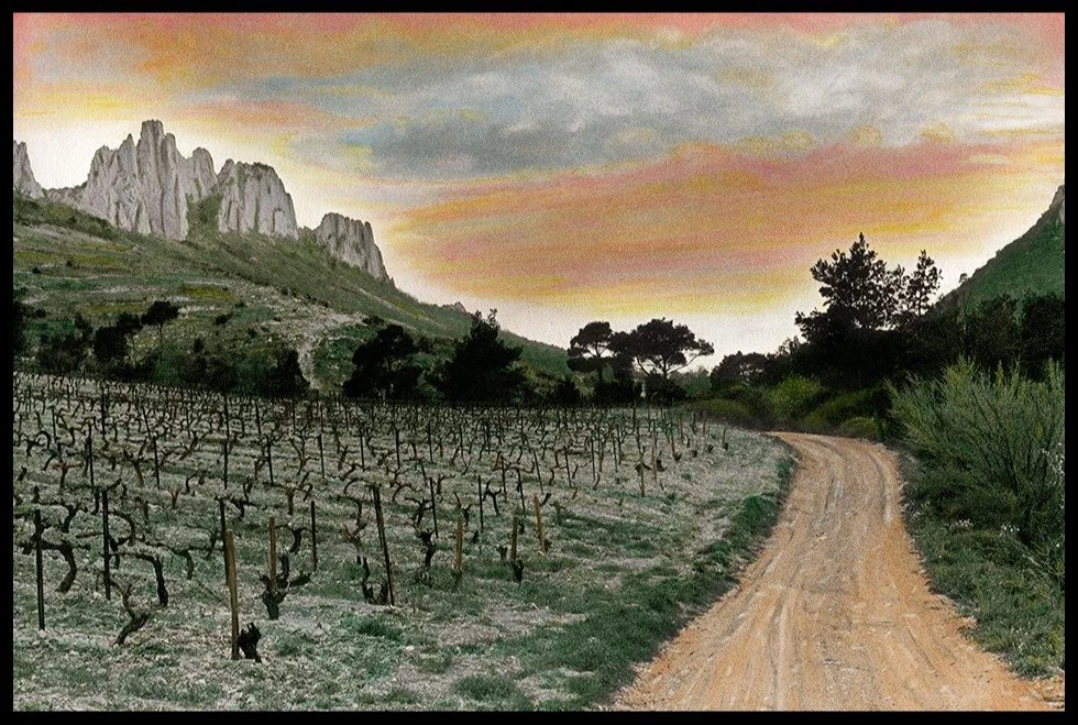 Burgundy with Domaine de Bellene CLASS - WAIT LIST ONLY