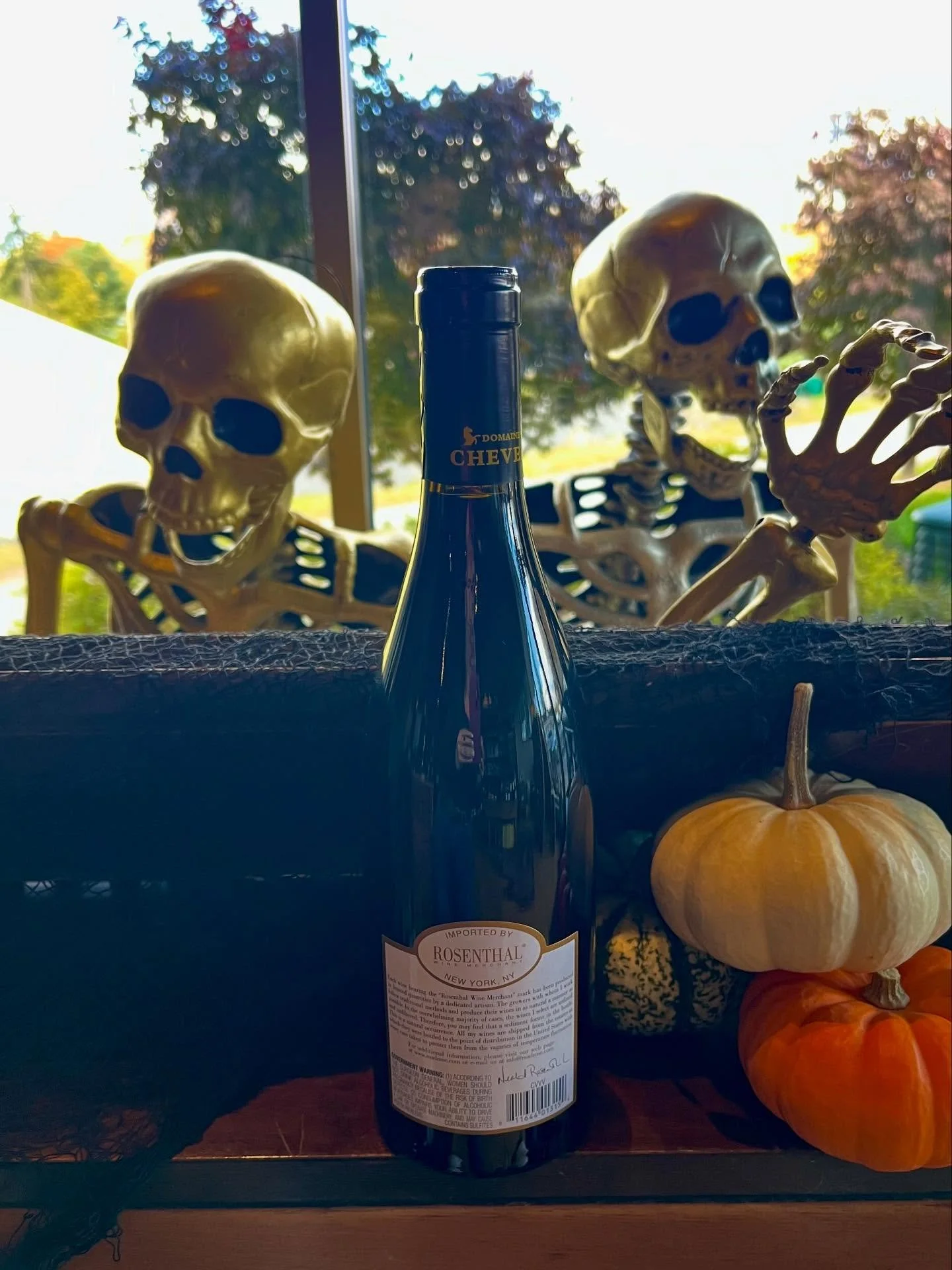 All Rosenthal, all around $20!  What a hoot! 
Today 3-6pm. 
@rosenthalwinemerchant