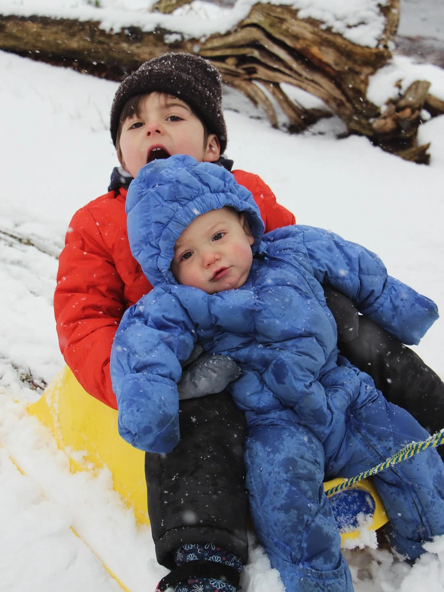 SNOW HOURS TODAY: 11am-4pm
Tasting hours now 12-3pm
Throw back pic for attention! 
Happy Friday!!!