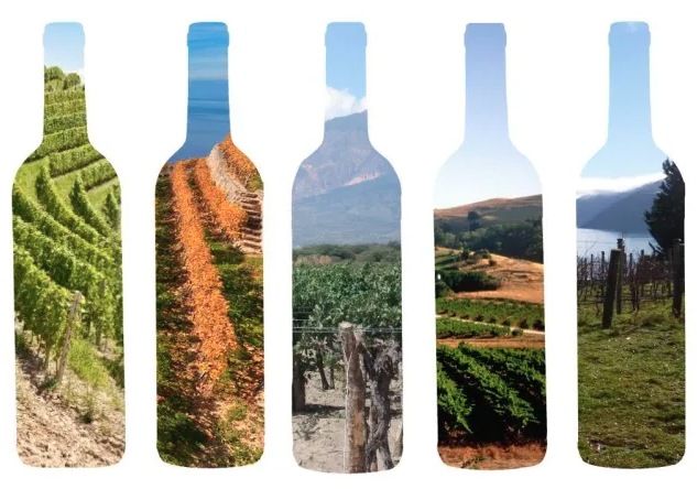Now That's Some FINE Terroir - TASTING