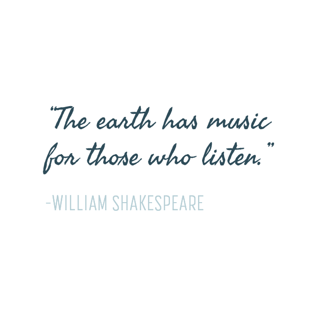 Quote-Experience-Taproot-01.png
