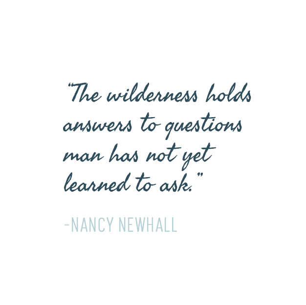 Quote-Experience-Taproot-02.png