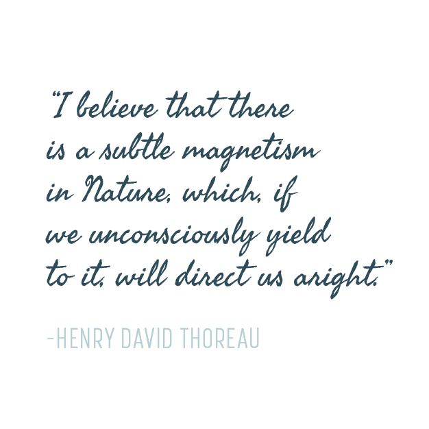 Quote-Experience-Taproot-04.png
