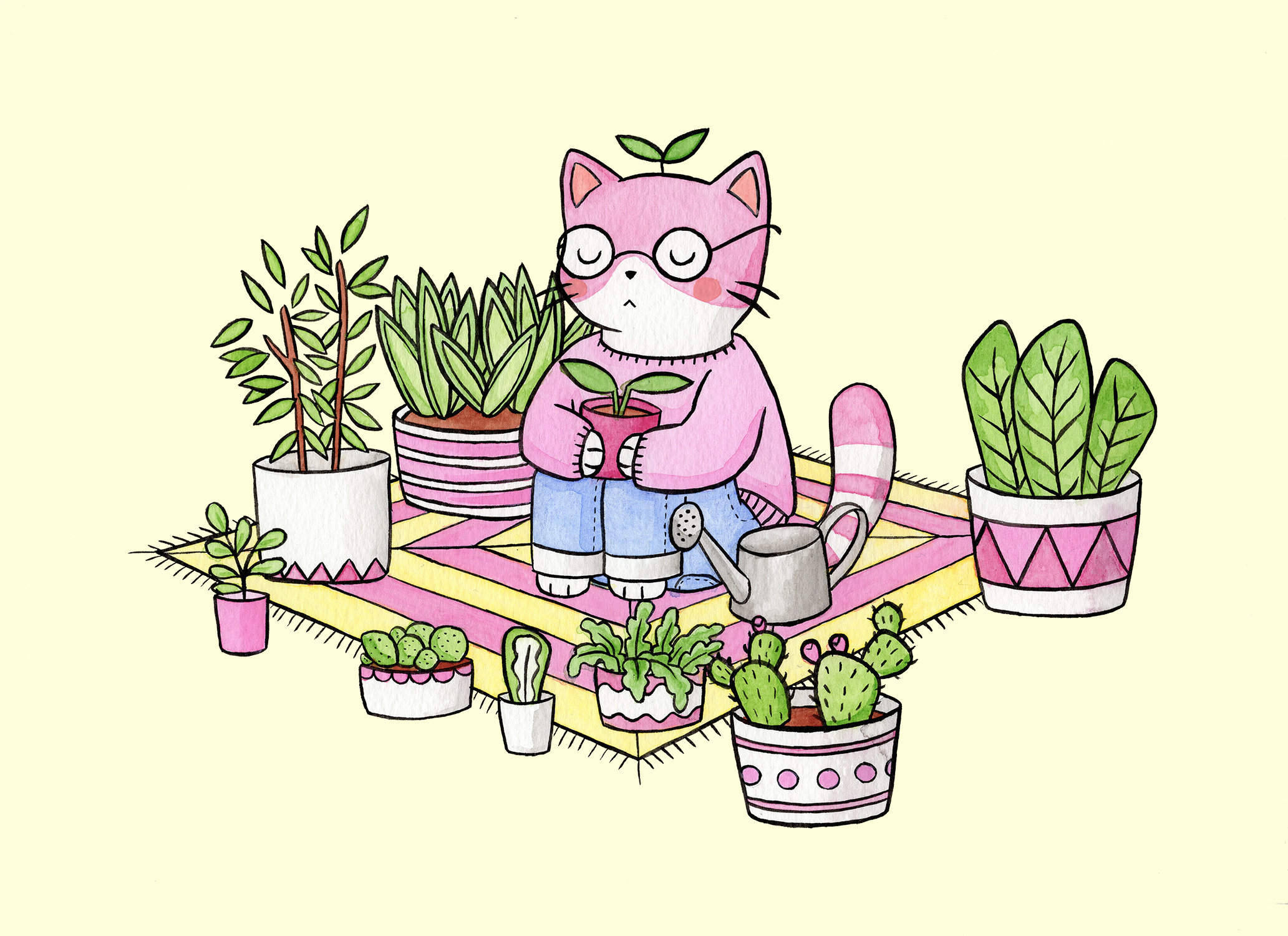 sqsp cactus meditation.png
