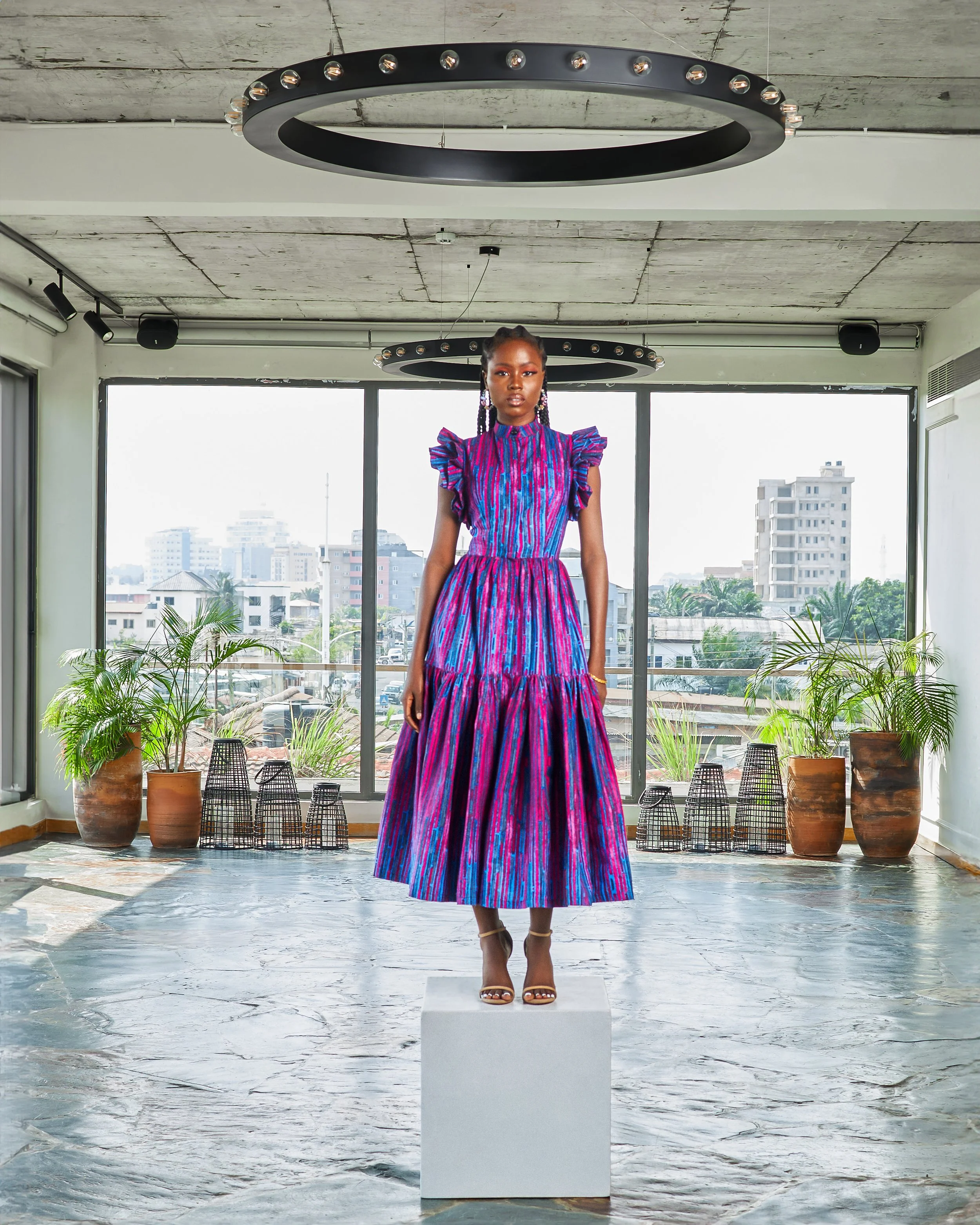 Toucan Dress, view 3 of 4