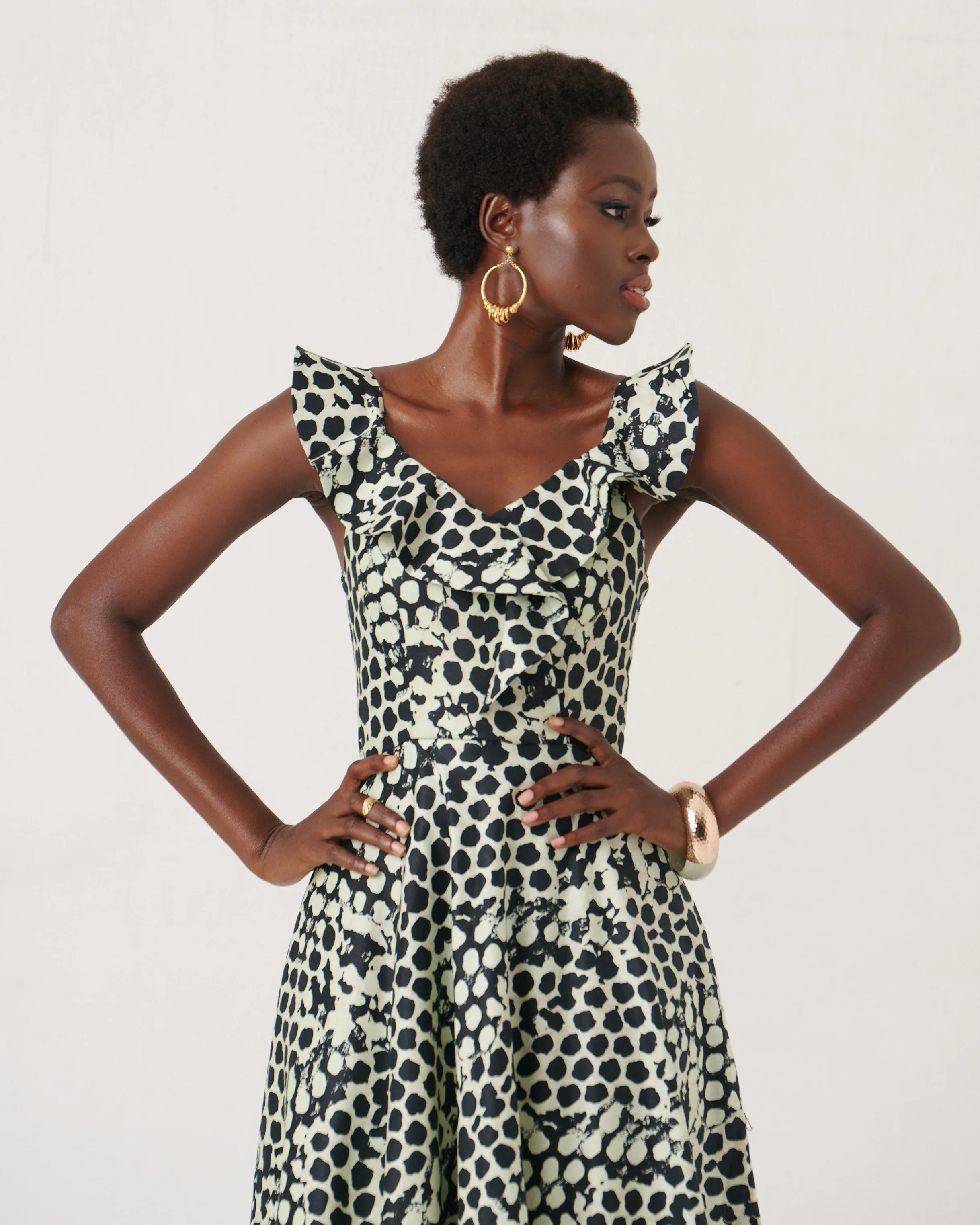 Dolia Dress, view 3 of 4