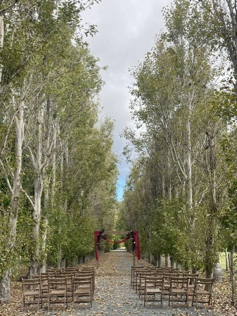 Driveway MAY.jpg