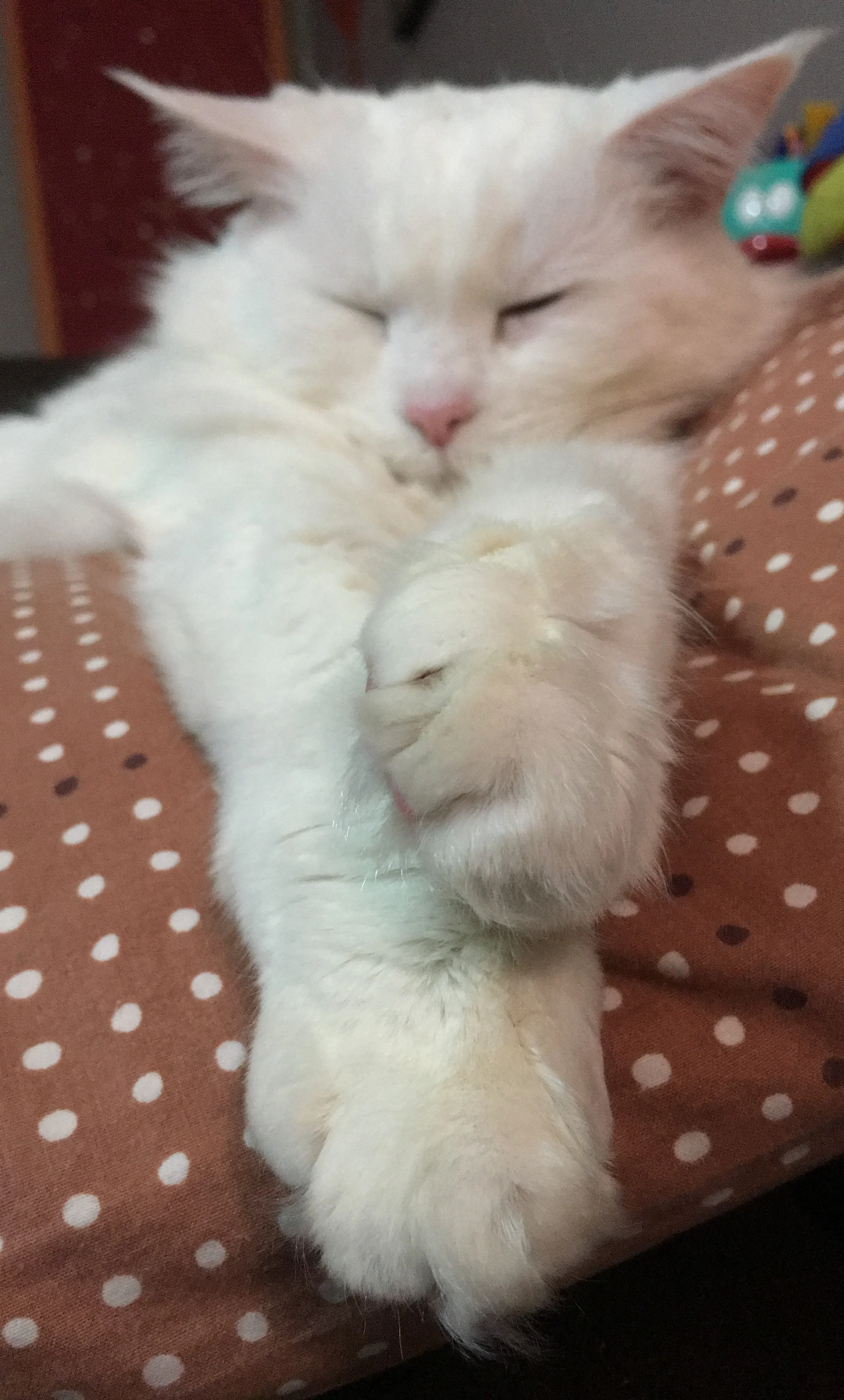 Relaxing by Staying Home