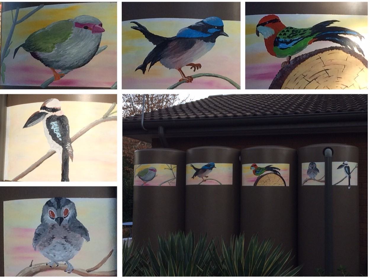 Birds on water tanks, The Cattage