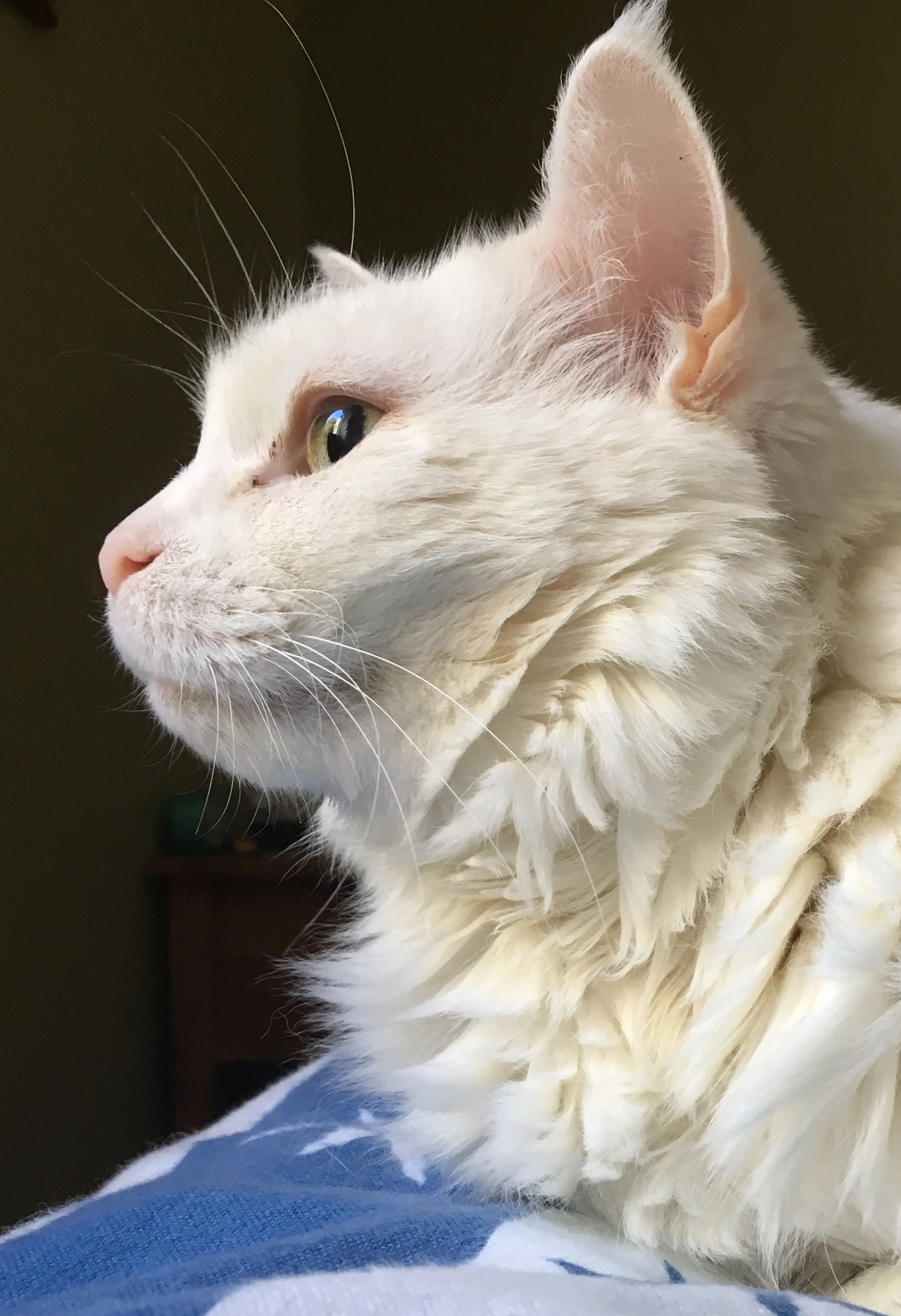 Look at Me, Definition of Beauty