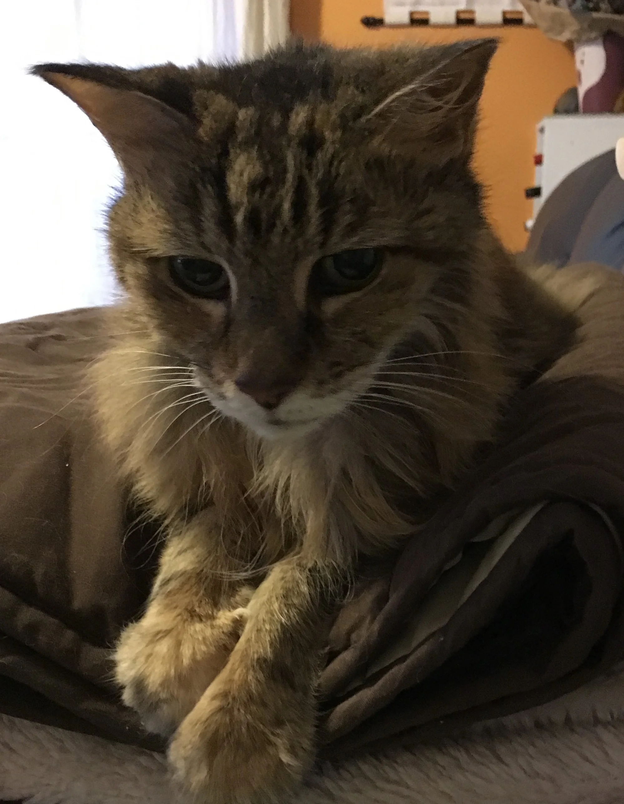 Love you, daddy & mummy.  Goodbye...