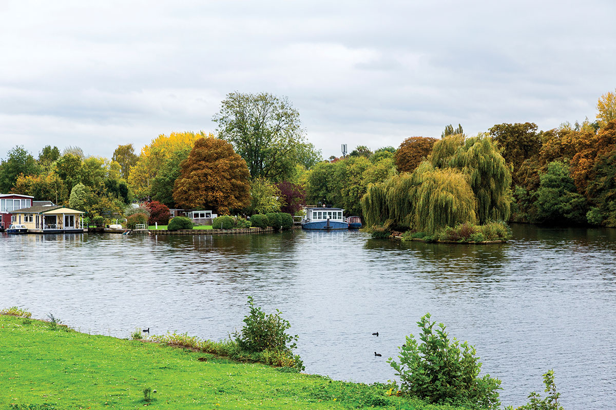 Taggs Island