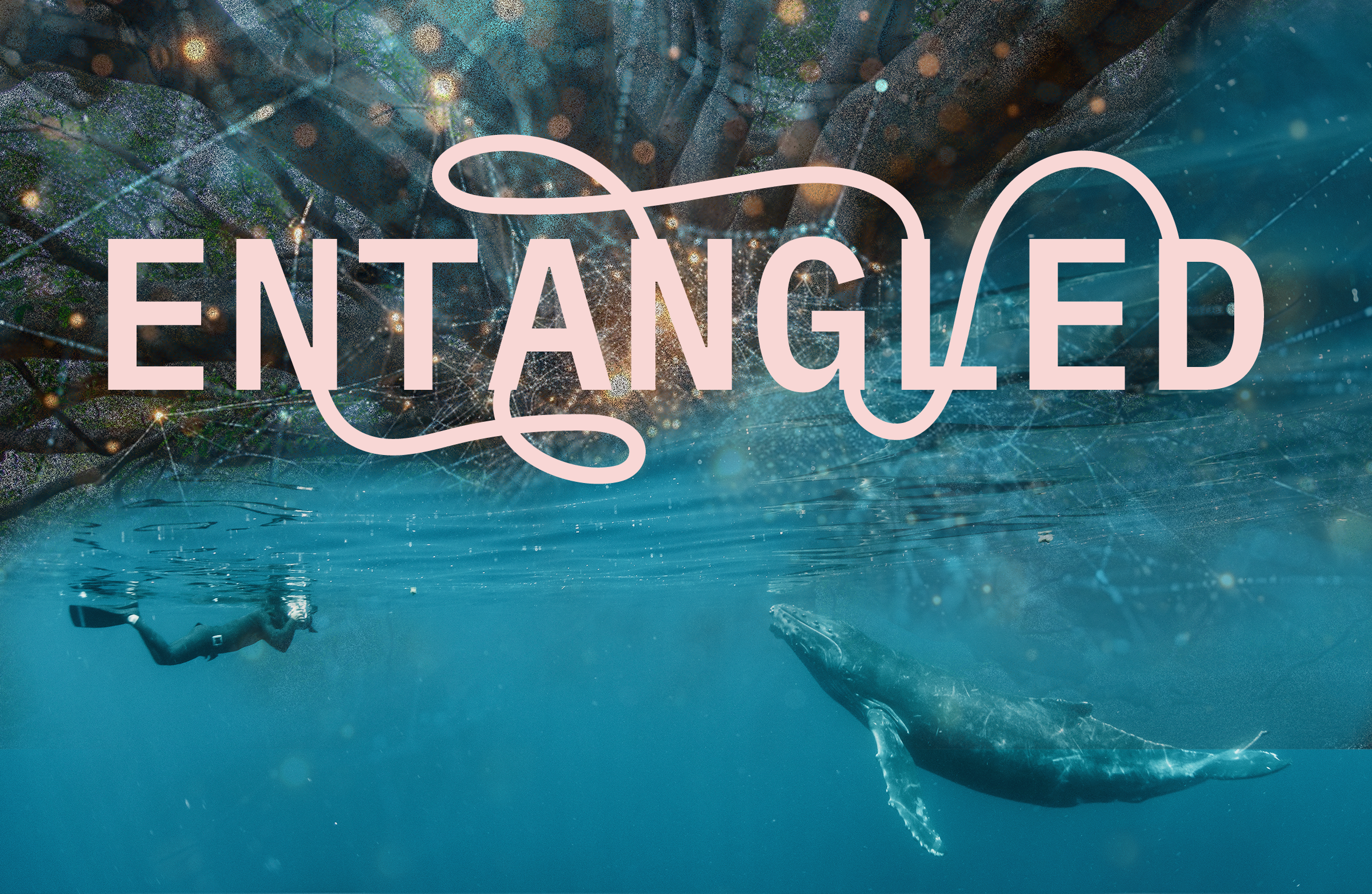 20. Entangled whale tree particles.png