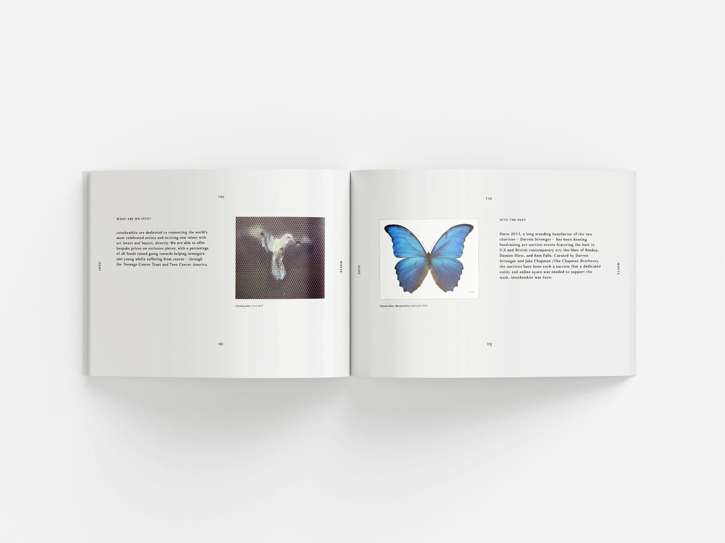 Perfect_Binding_Brochure_Mockup_2.jpg