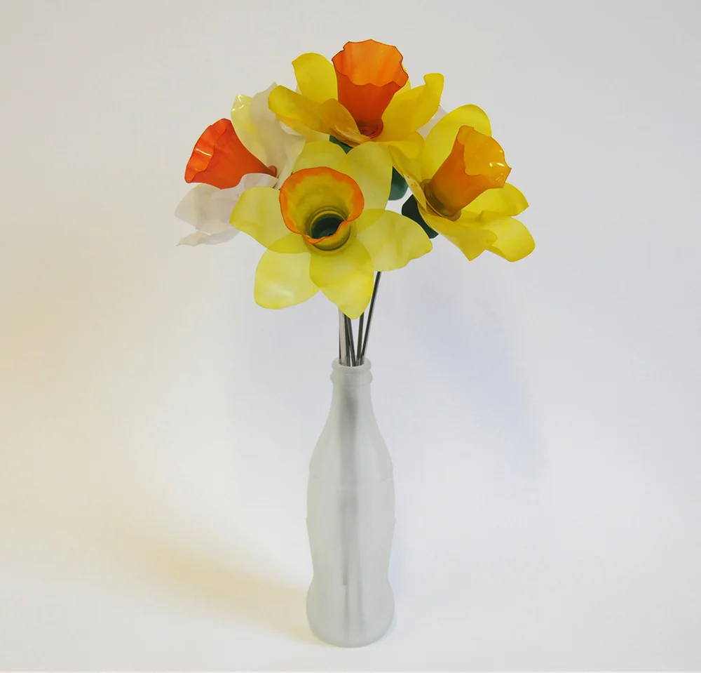 Plastic Bottle Daffodils