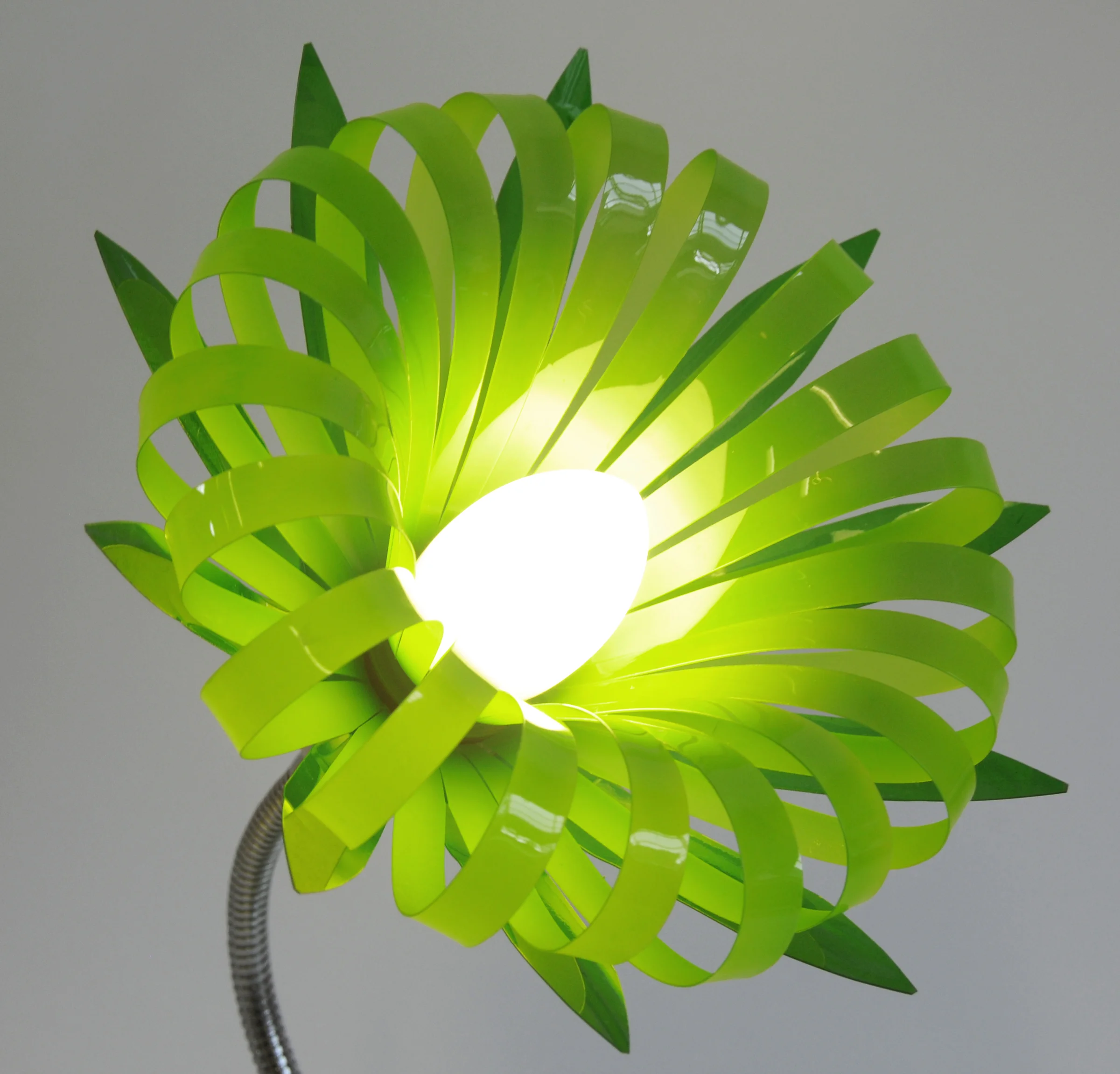 Zade Green 1.jpg