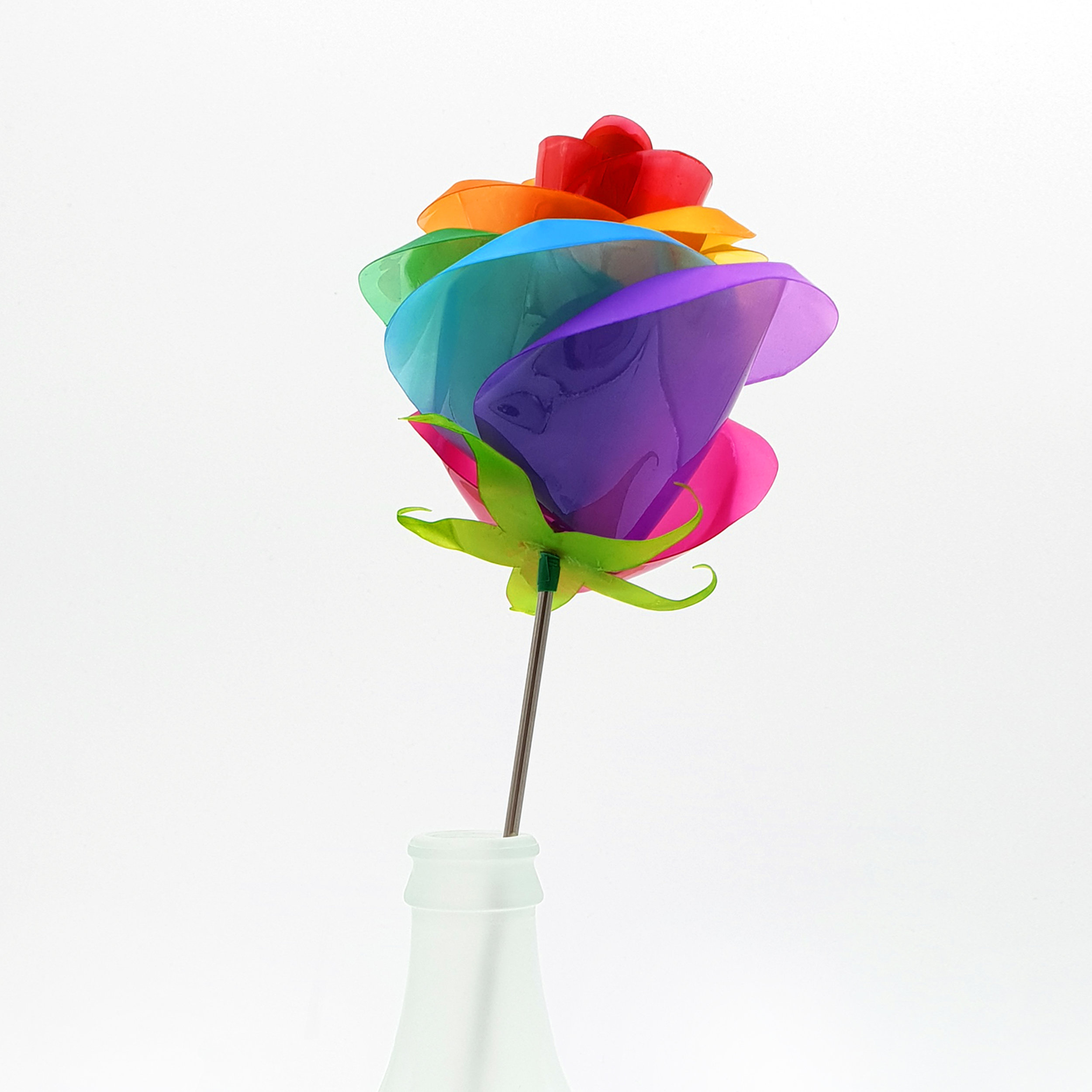 Rainbow Rose 3 Square.jpg