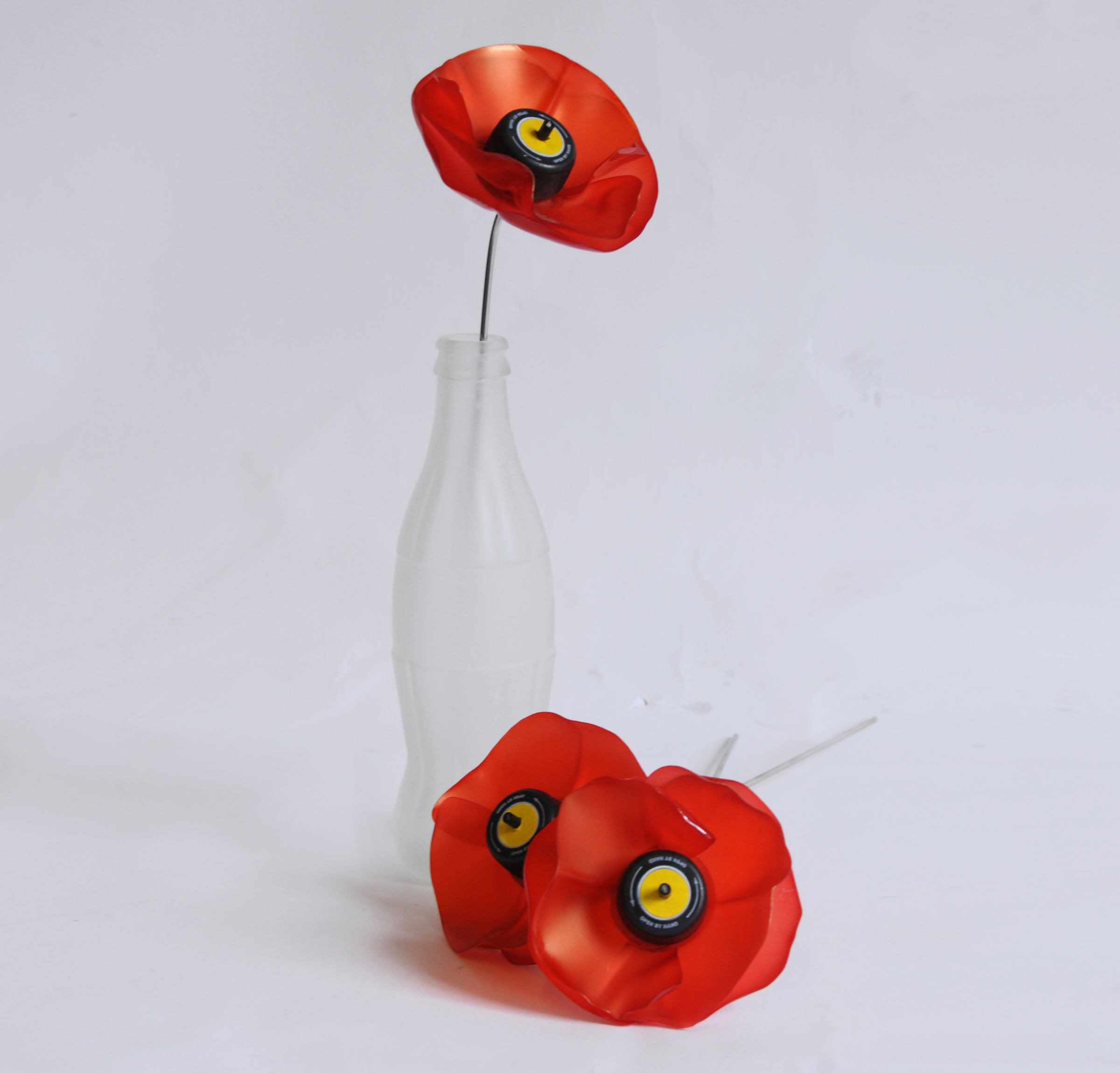 Poppies 1.jpg