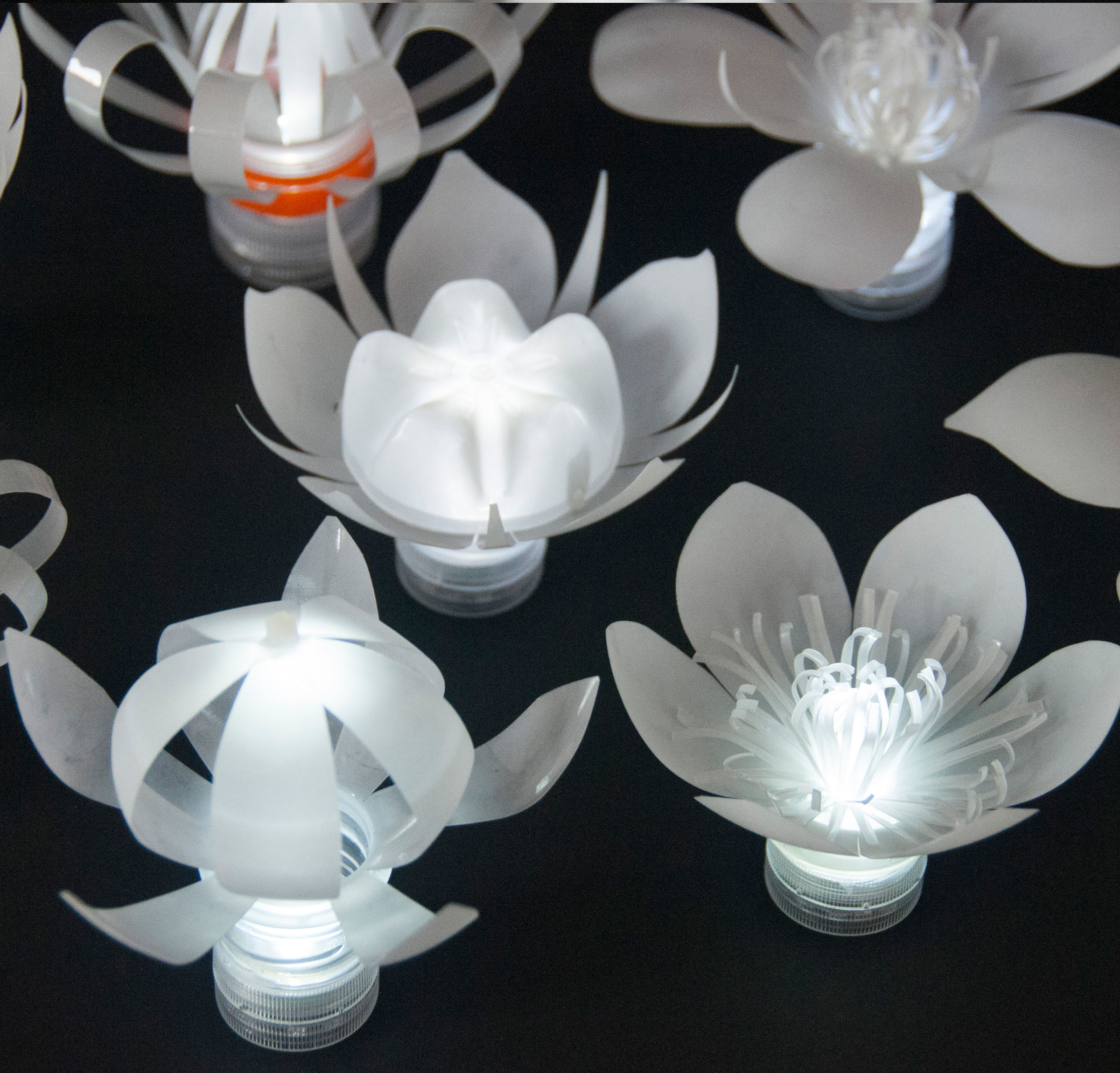 LED Plastic Bottle Flowers.jpg
