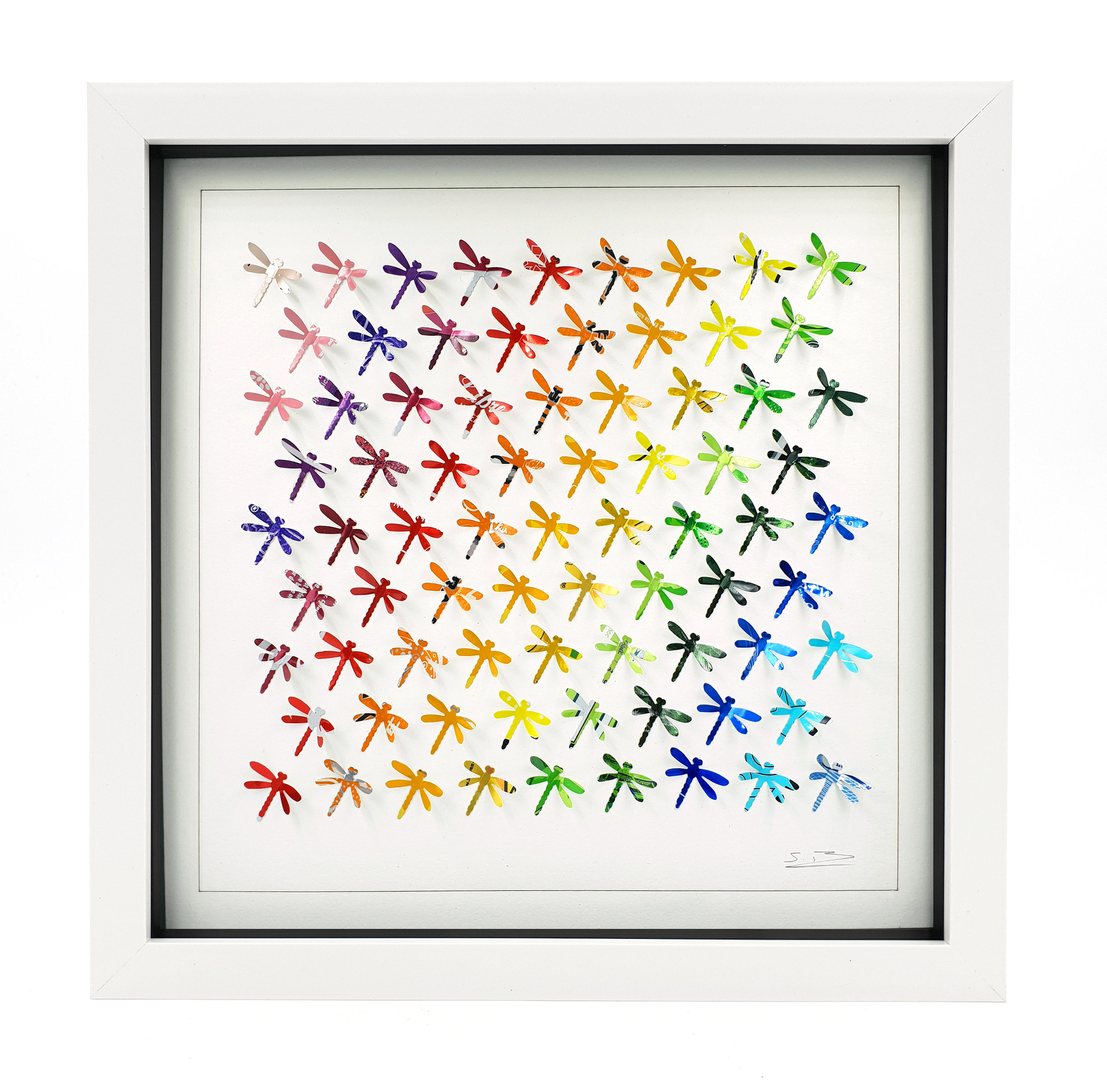 Rainbow Dragonflies W.jpg