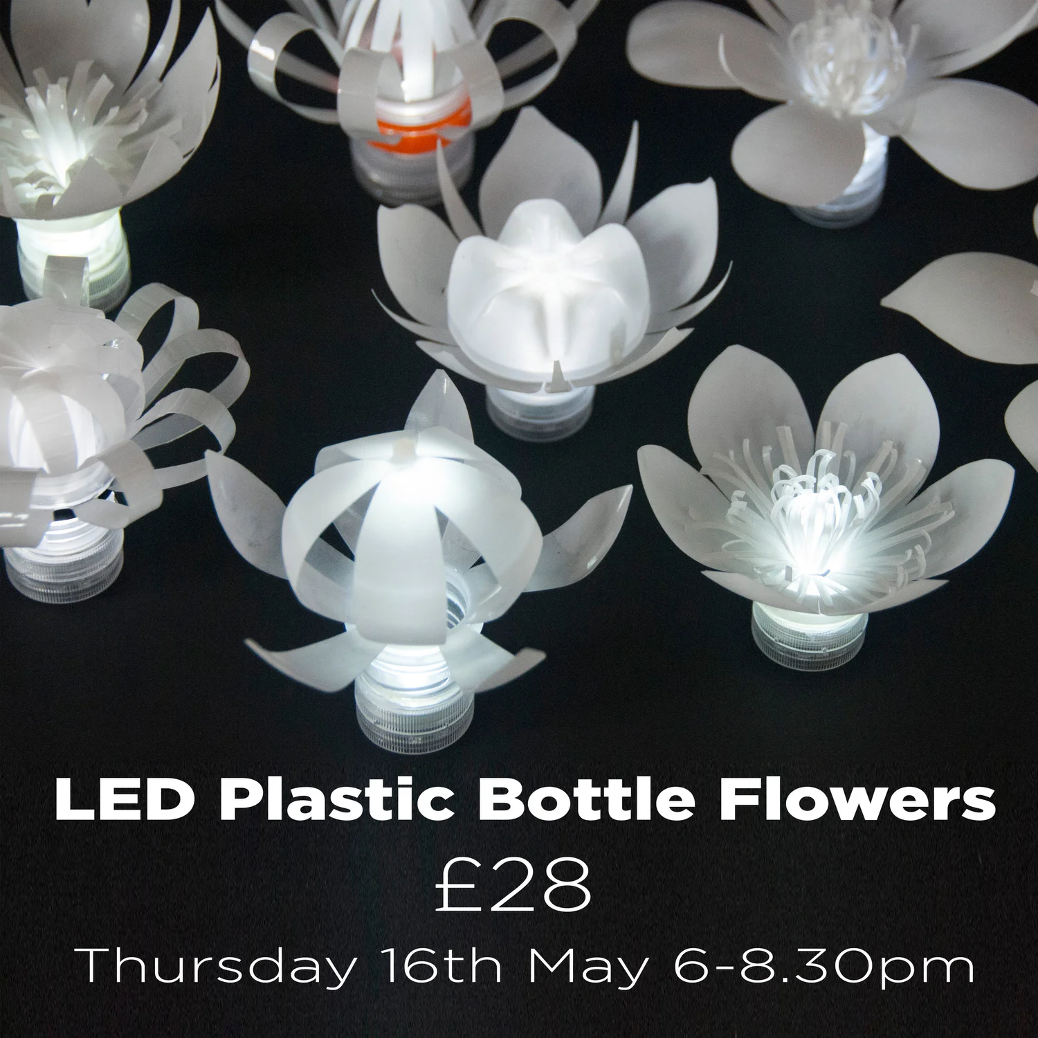 Led Plastic Bottle Flower Workshop Thursday 16th May 6pm 8 30pm Sarah Turner Eco Art Design